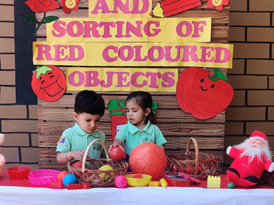 Recognition-and-sorting-of-red-colour-object