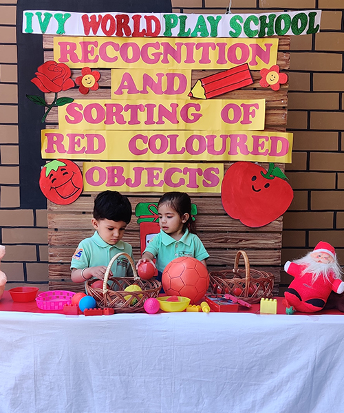 Recognition and Sorting Of Red Colour Object