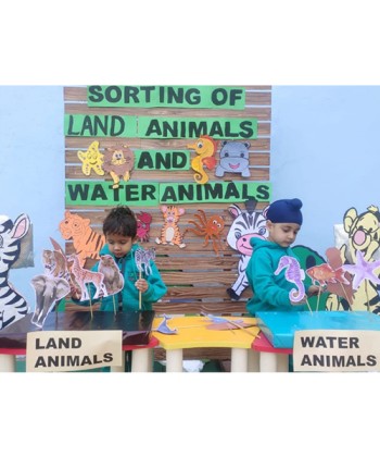 Sorting Of Land Animals and Water Animals